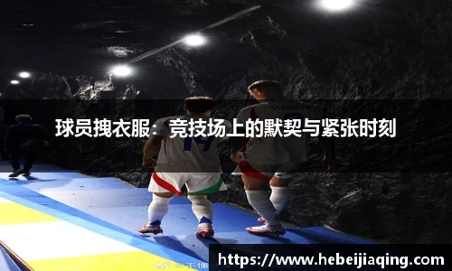 星空·综合体育中国官网