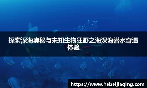 星空·综合体育官方网站