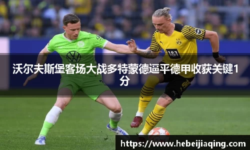 沃尔夫斯堡客场大战多特蒙德逼平德甲收获关键1分