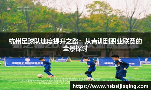 3377体育官网
